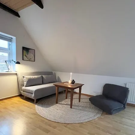 Bright Nordic Loft Lägenhet