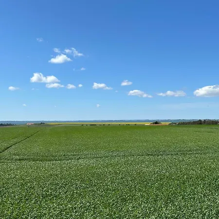 Apartment Bright Nordic Loft